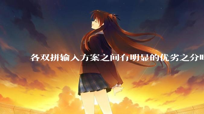 各双拼输入方案之间有明显的优劣之分吗？
