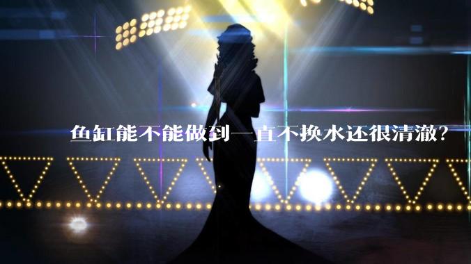 鱼缸能不能做到一直不换水还很清澈？