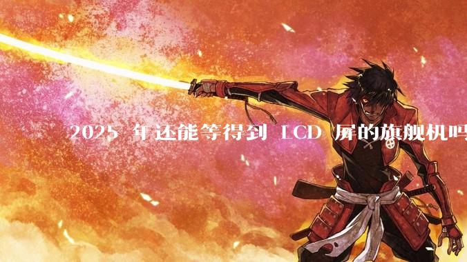2025 年还能等得到 LCD 屏的旗舰机吗？
